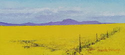 Canola Time In Overberg I | 2020 | Oil on Canvas | 18 x 30 cm